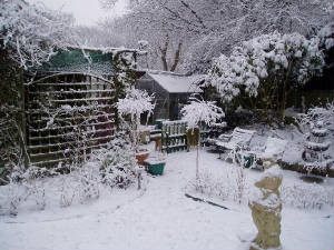 snow12.jpg