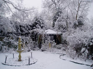 snow13.jpg