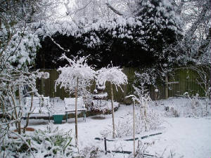 snow14.jpg