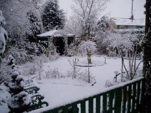 snow6.jpg